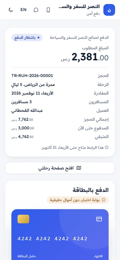 The payment page with the amount and the ways to pay (on a phone)